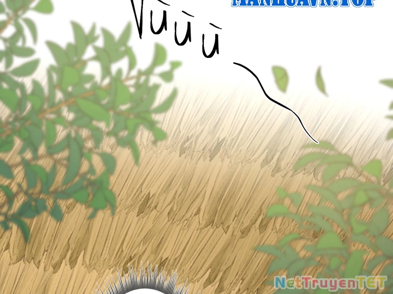 Đồ đệ ta đều là vô địch đại yêu Chapter 29 - 109