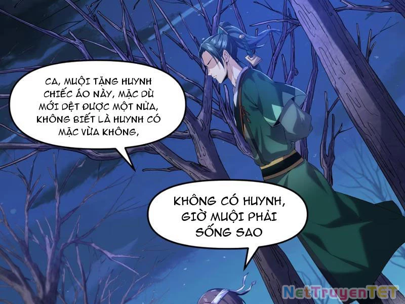 Xuyên Không Đến Thế Giới Tu Chân, Ta Vậy Mà Kích Hoạt Được Hệ Thống Plants vs Zombie Chapter 1 - 59