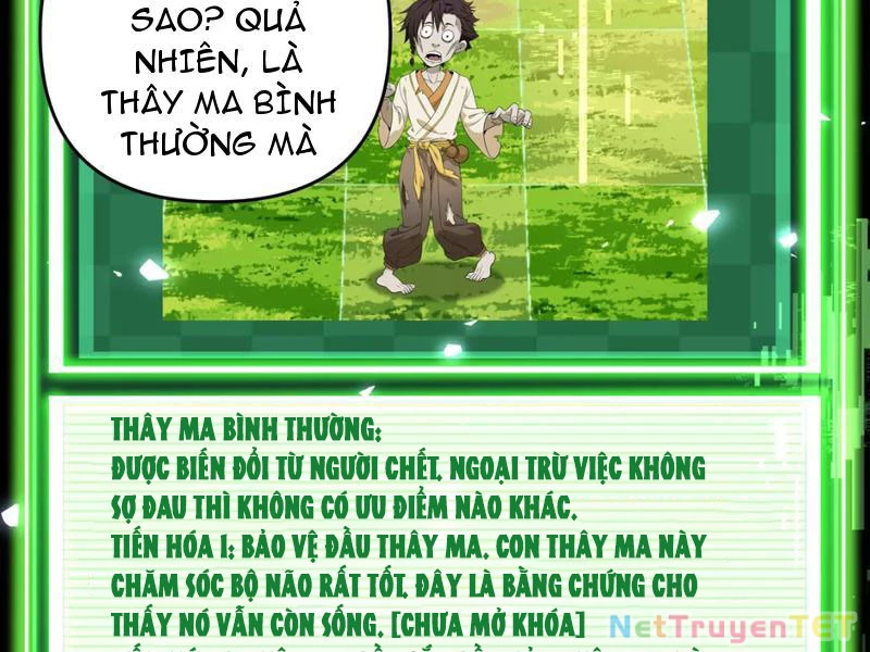 Xuyên Không Đến Thế Giới Tu Chân, Ta Vậy Mà Kích Hoạt Được Hệ Thống Plants vs Zombie Chapter 1 - 96