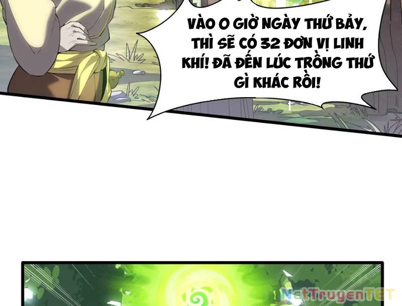 Xuyên Không Đến Thế Giới Tu Chân, Ta Vậy Mà Kích Hoạt Được Hệ Thống Plants vs Zombie Chapter 2 - 67