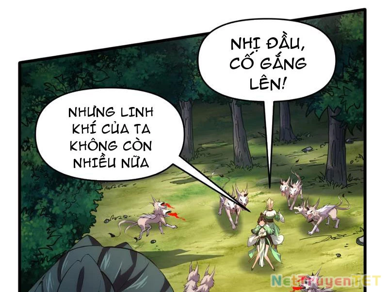 Xuyên Không Đến Thế Giới Tu Chân, Ta Vậy Mà Kích Hoạt Được Hệ Thống Plants vs Zombie Chapter 2 - 90