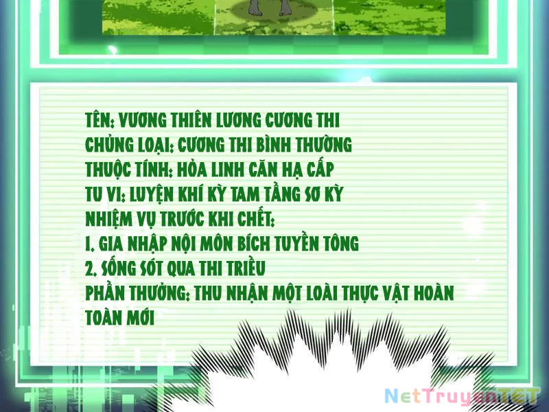 Xuyên Không Đến Thế Giới Tu Chân, Ta Vậy Mà Kích Hoạt Được Hệ Thống Plants vs Zombie Chapter 5 - 59