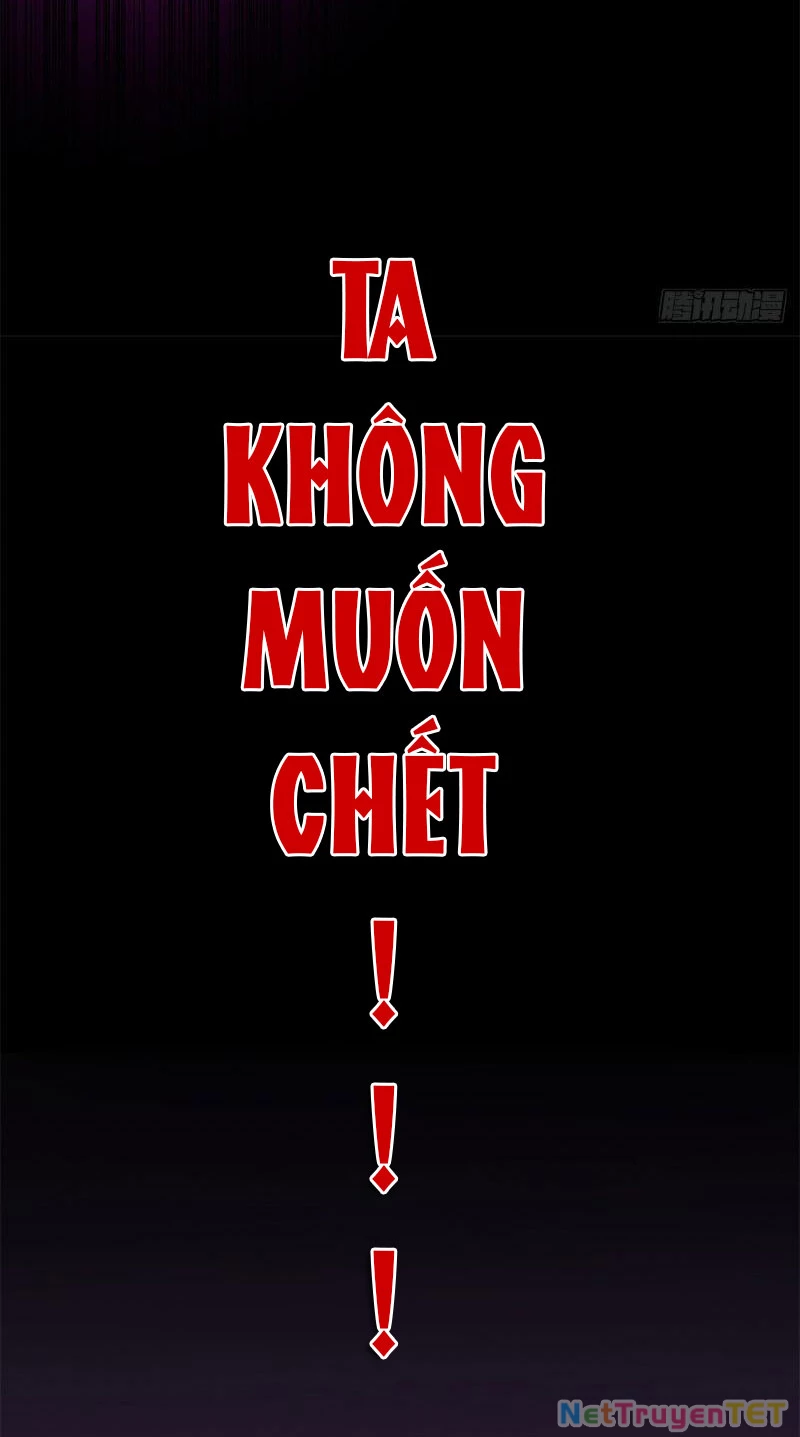 Tân Sủng Mị Chapter 2 - 13