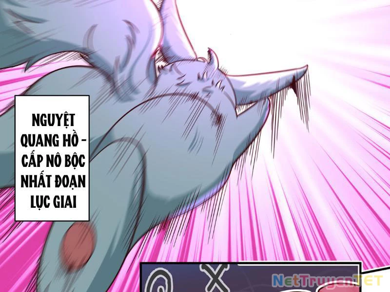 Tân Sủng Mị Chapter 13 - 2