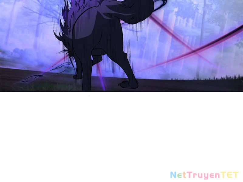 Tân Sủng Mị Chapter 16 - 31