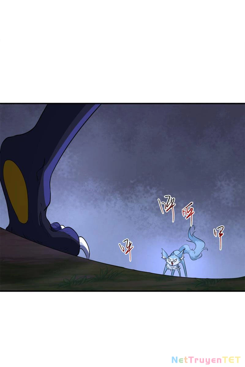 Tân Sủng Mị Chapter 17 - 11