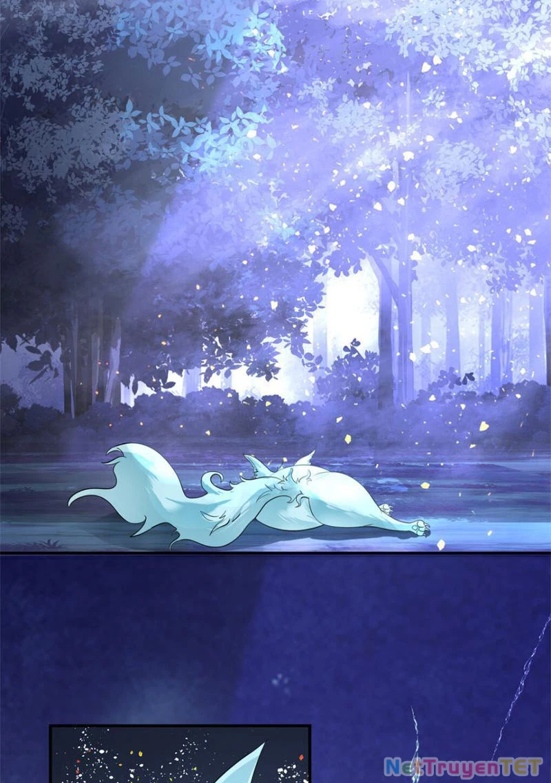 Tân Sủng Mị Chapter 18 - 8