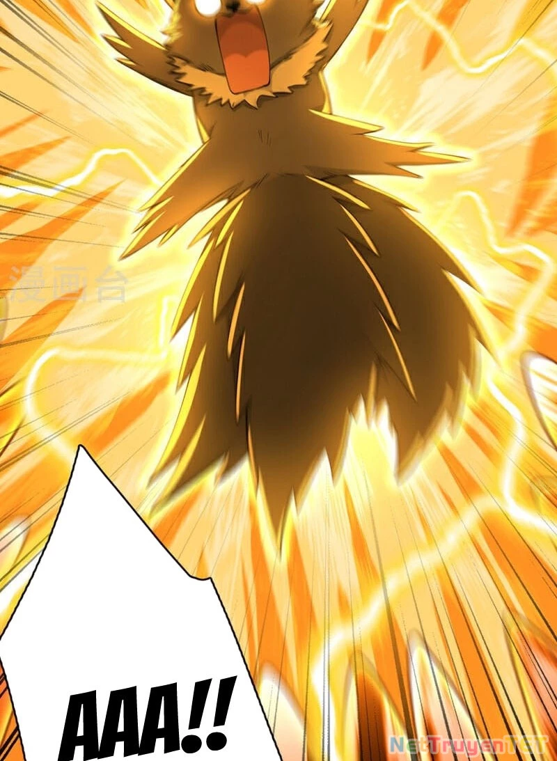 Ẩn Cư Mười Vạn Năm Chapter 286 - 41