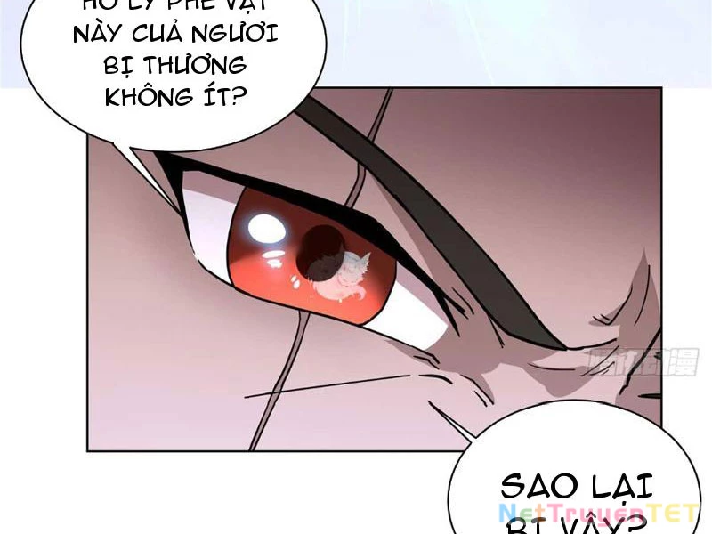 Tân Sủng Mị Chapter 20 - 36