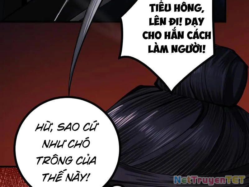 Gặp Mạnh Thì Mạnh, Ta Tu Vi Vô Thượng Hạn Chapter 13 - 88