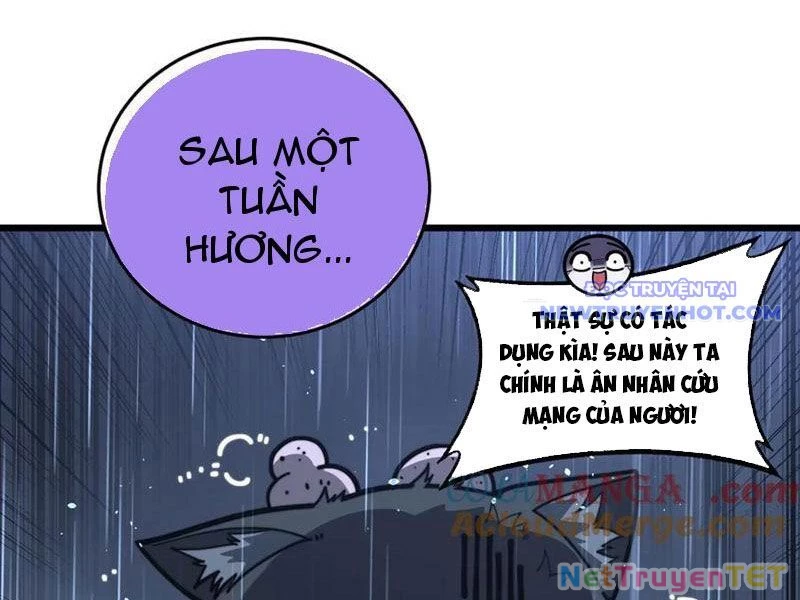 Lão xà tu tiên truyện Chapter 24 - 5