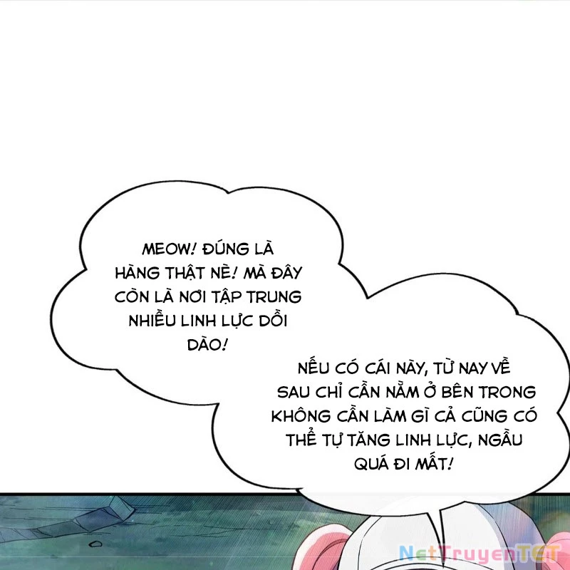 Các Nữ Đồ Đệ Của Ta Đều Là Chư Thiên Đại Lão Tương Lai Chapter 268 - 21
