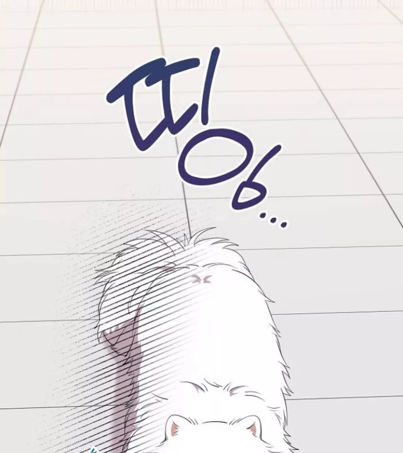 Tạp Hóa Dị Giới Chapter 49 - 11