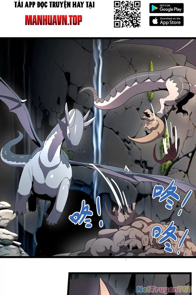 Bản Sao Của Tôi Là Trùng Vương Không Gian Chapter 4 - Trang 2