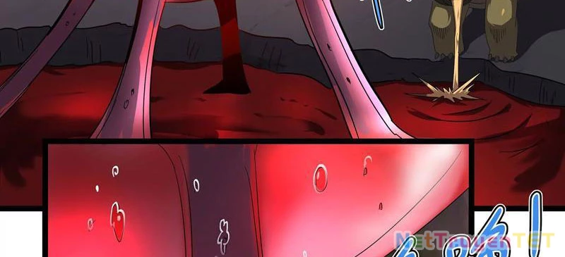 Bản Sao Của Tôi Là Trùng Vương Không Gian Chapter 4 - Trang 2