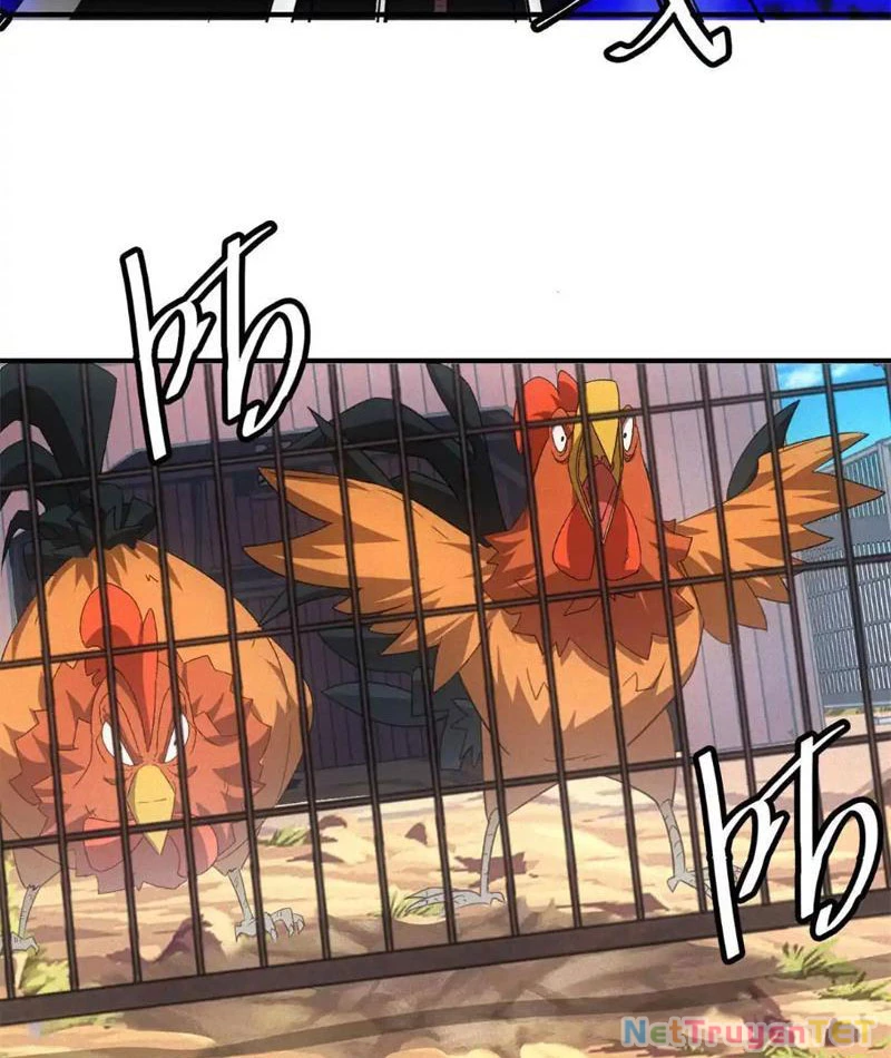 Ta Bán Hàng Vỉa Hè Ở Mạt Thế Chapter 20 - 68