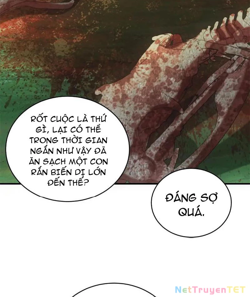 Ta Bán Hàng Vỉa Hè Ở Mạt Thế Chapter 25 - 33