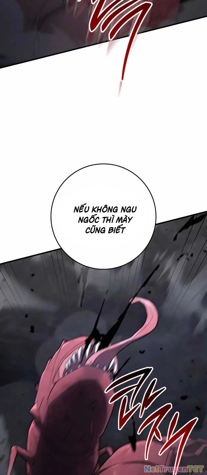 Anh Hùng Trở Về Chapter 110 - Trang 2