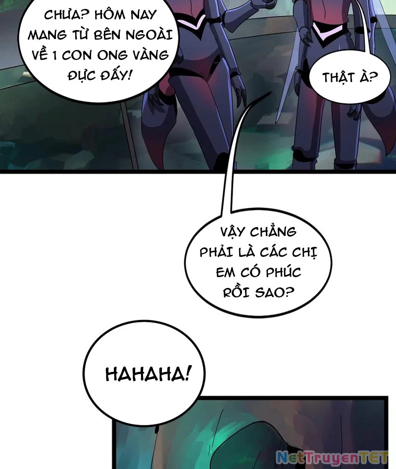 Bản Sao Của Tôi Là Trùng Vương Không Gian Chapter 7 - Trang 2