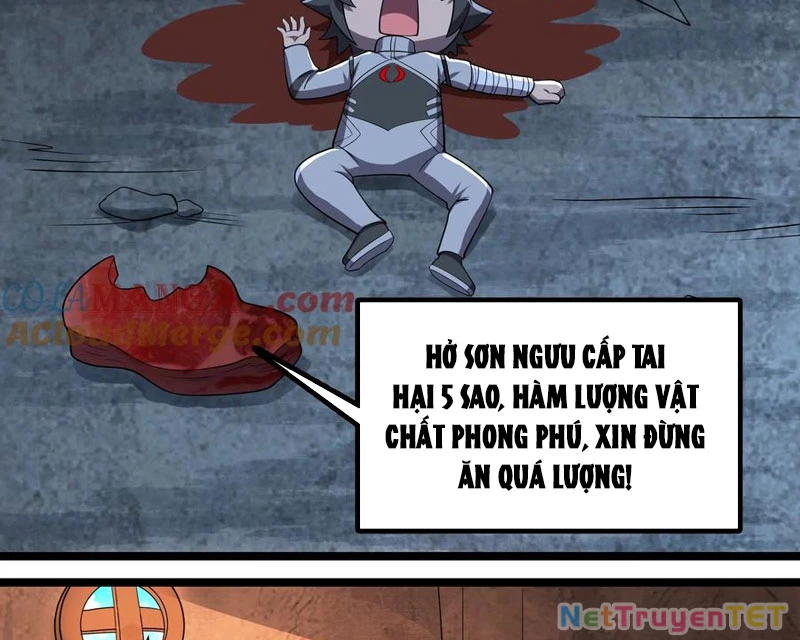 Bản Sao Của Tôi Là Trùng Vương Không Gian Chapter 12 - Trang 2