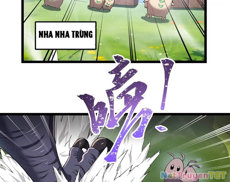 Bản Sao Của Tôi Là Trùng Vương Không Gian Chapter 14 - Trang 2