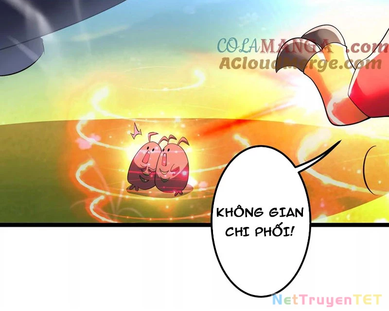Bản Sao Của Tôi Là Trùng Vương Không Gian Chapter 14 - Trang 2
