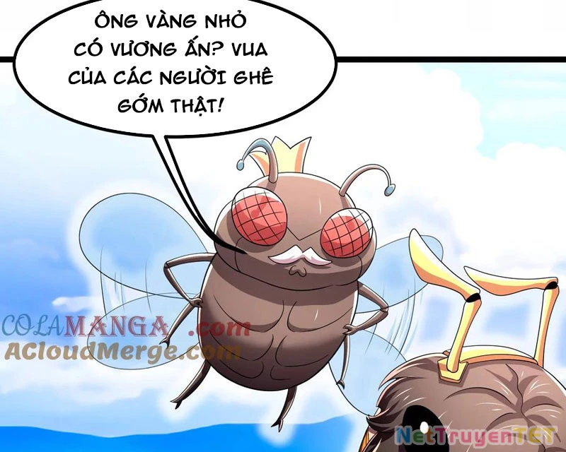 Bản Sao Của Tôi Là Trùng Vương Không Gian Chapter 14 - Trang 2