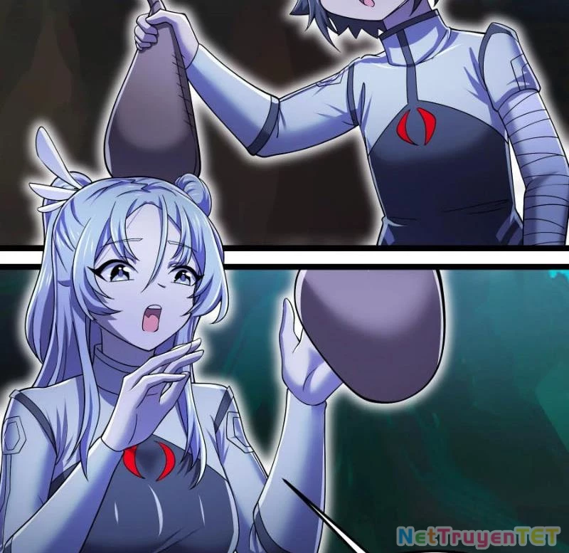 Bản Sao Của Tôi Là Trùng Vương Không Gian Chapter 17 - Trang 2