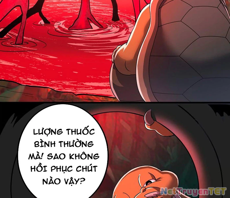 Bản Sao Của Tôi Là Trùng Vương Không Gian Chapter 19 - Trang 2