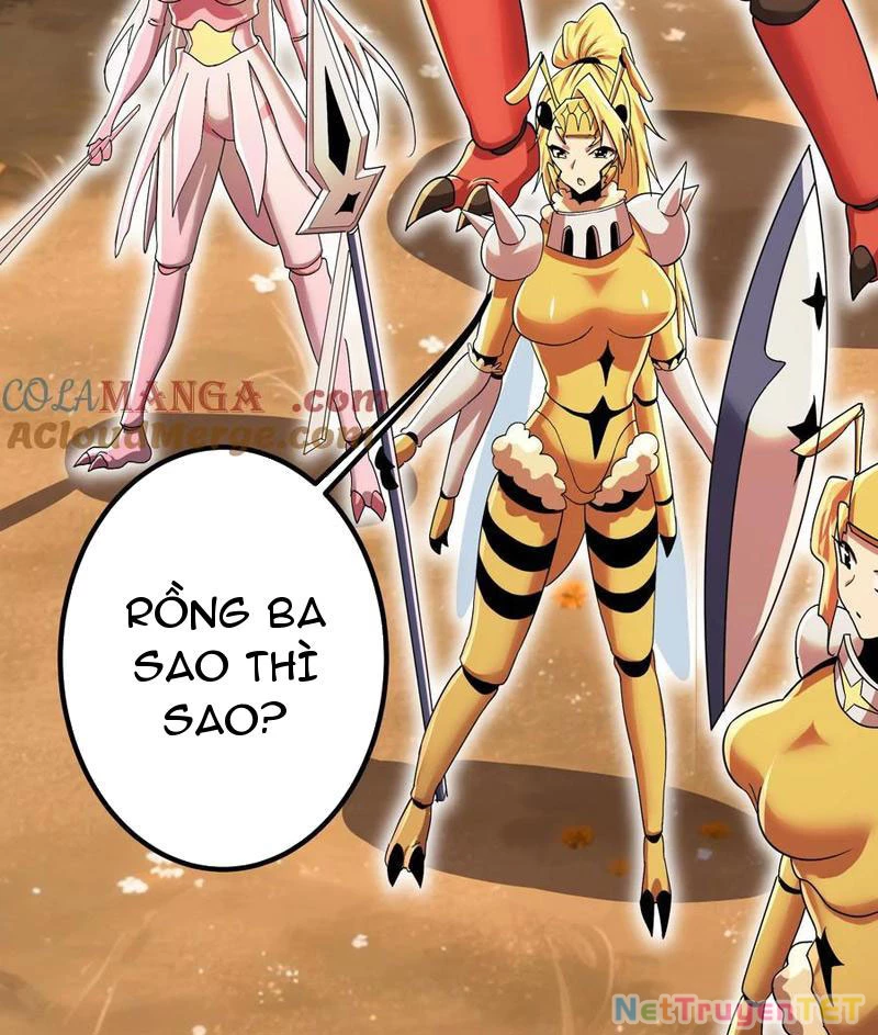 Bản Sao Của Tôi Là Trùng Vương Không Gian Chapter 25 - Trang 2