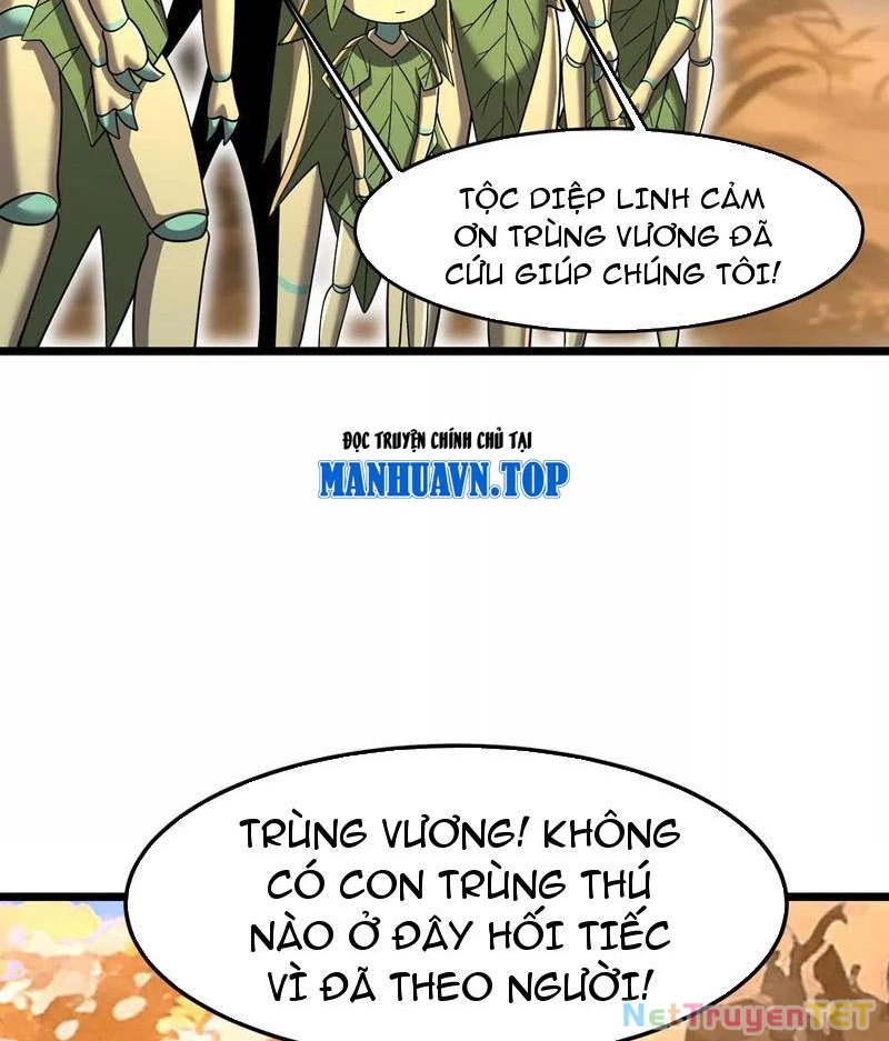 Bản Sao Của Tôi Là Trùng Vương Không Gian Chapter 26 - Next Chapter 27