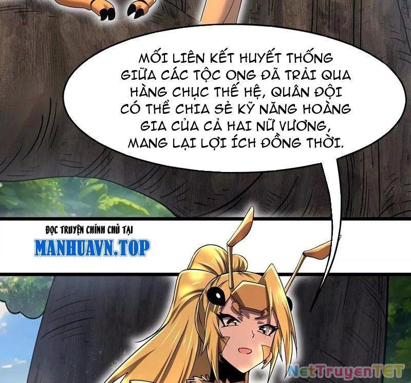 Bản Sao Của Tôi Là Trùng Vương Không Gian Chapter 27 - Trang 2