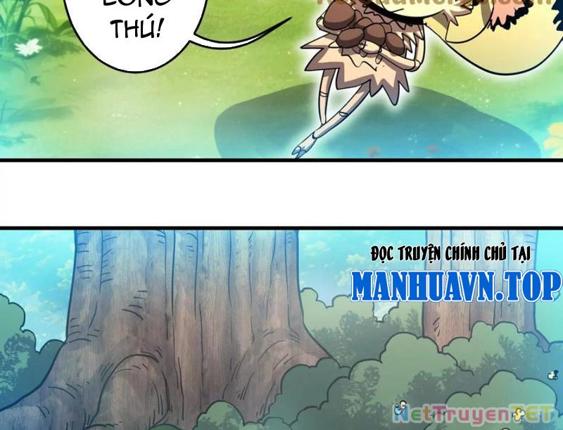 Bản Sao Của Tôi Là Trùng Vương Không Gian Chapter 31 - Trang 2