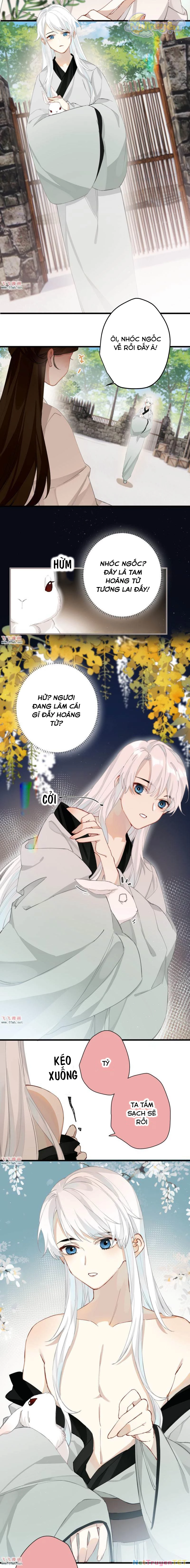 Công Chúa Pháo Hôi Muốn Tùy Tiện Đến Cùng Chapter  28 - 2