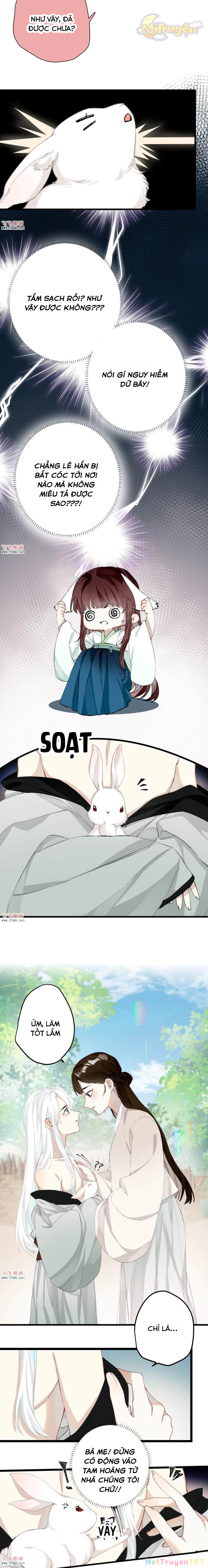 Công Chúa Pháo Hôi Muốn Tùy Tiện Đến Cùng Chapter  28 - 3