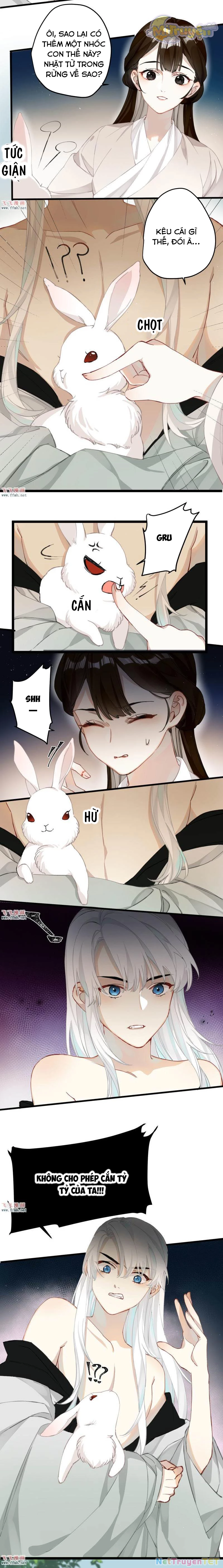 Công Chúa Pháo Hôi Muốn Tùy Tiện Đến Cùng Chapter  28 - 4