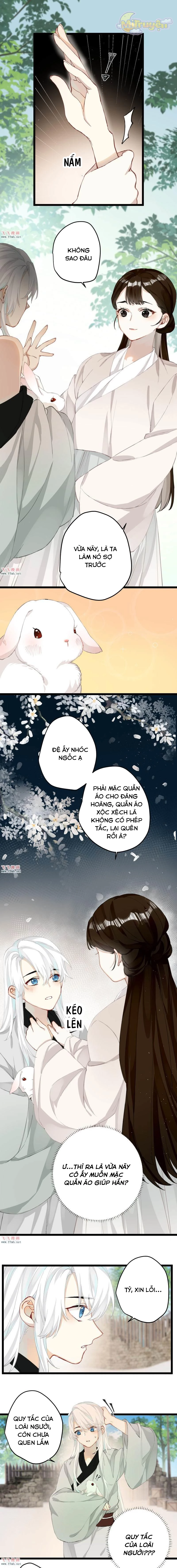 Công Chúa Pháo Hôi Muốn Tùy Tiện Đến Cùng Chapter  28 - 5