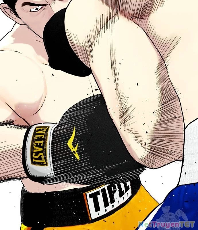 Loser Giỏi Võ Chapter 102 - 158