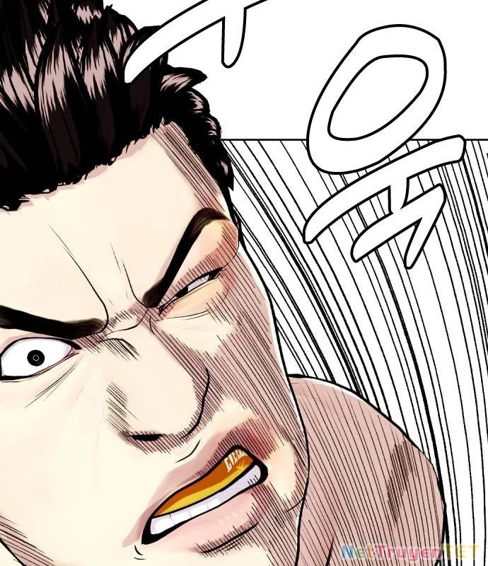 Loser Giỏi Võ Chapter 102 - 168