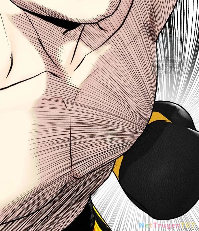 Loser Giỏi Võ Chapter 102 - 169