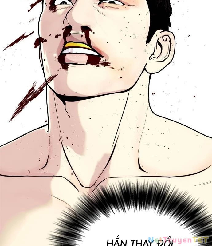Loser Giỏi Võ Chapter 102 - 194