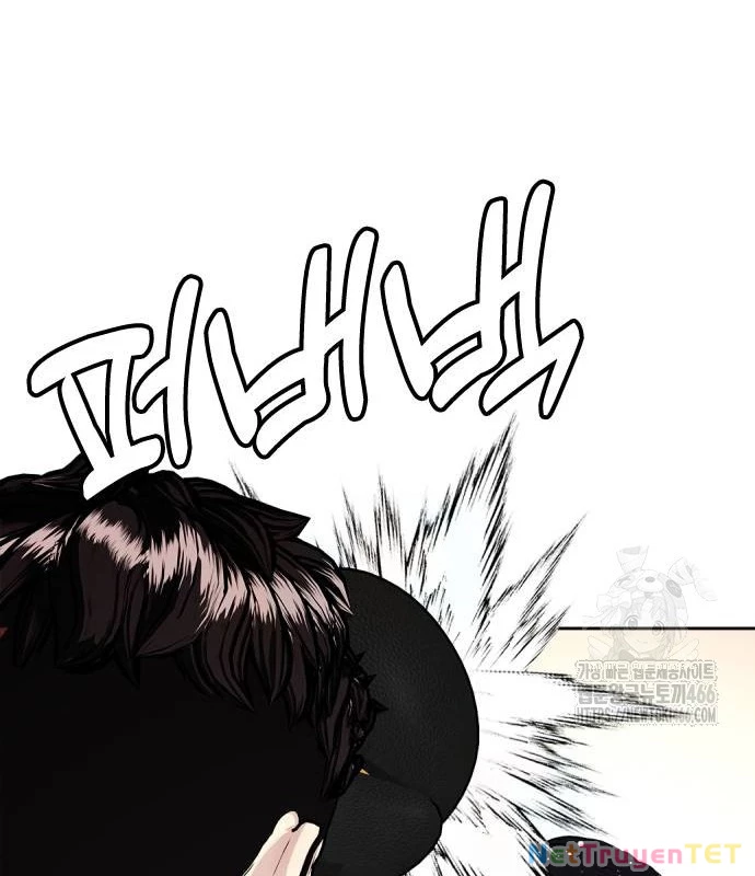 Loser Giỏi Võ Chapter 102 - 203