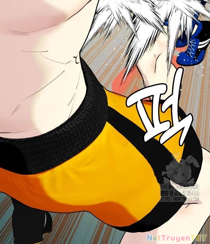 Loser Giỏi Võ Chapter 102 - 205