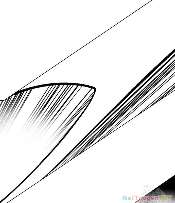 Loser Giỏi Võ Chapter 102 - 241