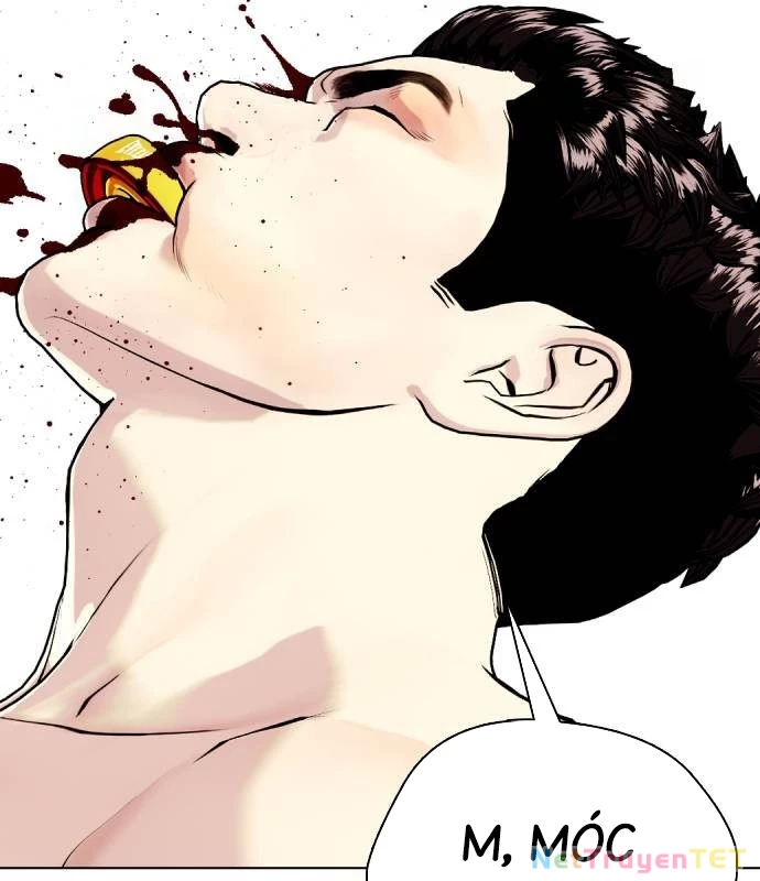 Loser Giỏi Võ Chapter 102 - 245
