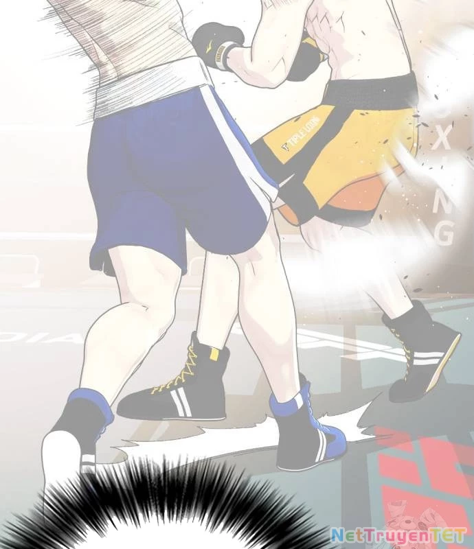 Loser Giỏi Võ Chapter 102 - 259