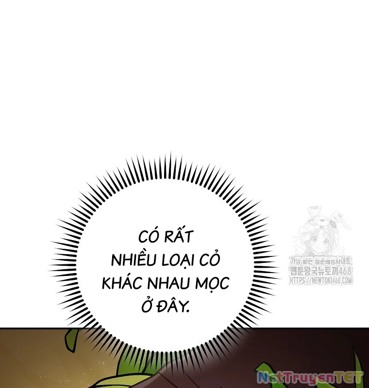 Tái Thiết Hầm Ngục Chapter 235 - 82