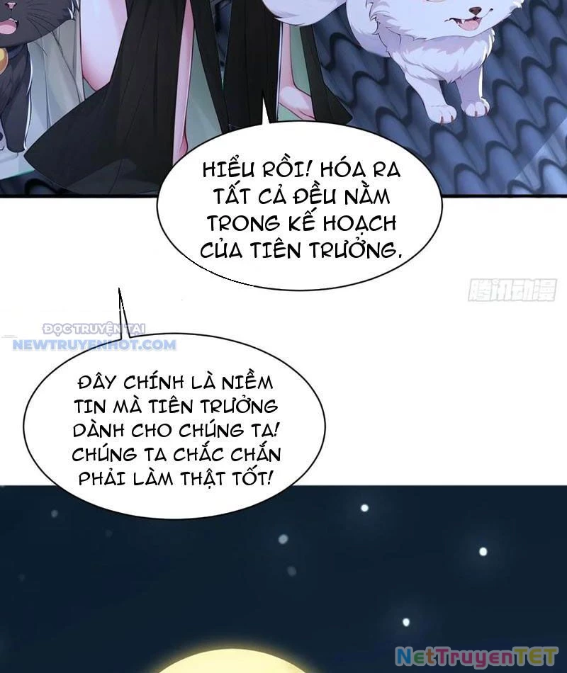 Ta Thực Sự Không Muốn Làm Thần Tiên Chapter 86 - 49