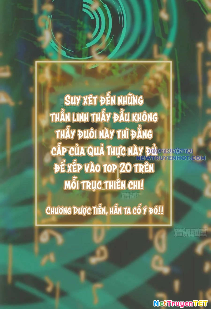 Bắt Đầu Từ Cửu Đầu Điểu Chapter 197 - Trang 2
