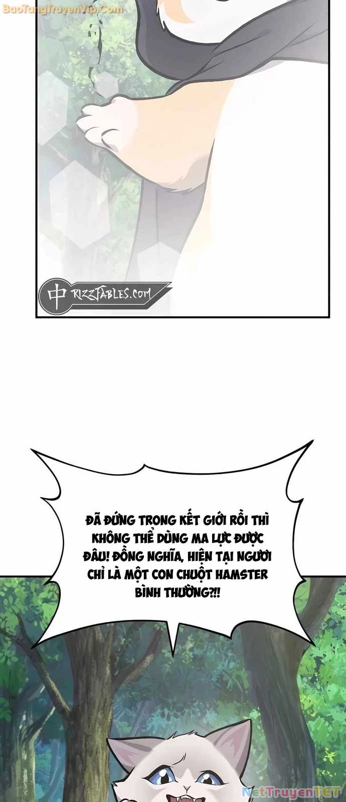 Làm Nông Dân Trong Tòa Tháp Thử Thách Chapter 95 - 73